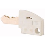 Individual key, white