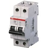 S202P-C13 Miniature Circuit Breaker - 2P - C - 13 A