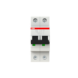 S202-C40 Miniature Circuit Breaker - 2P - C - 40 A