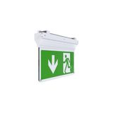 Eagle 3-In-1 Exit Sign Maintained / Non-Maintained Silver