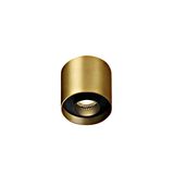 Testo-S LED COB 8W 560lm 24ø 97 220-240V IP20 brushed brass