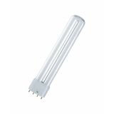 Compact Fluorescent Lamp Osram DULUX® L LUMILUX® 36 W/830 3000K 2G11