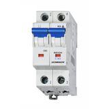 Miniature Circuit Breaker (MCB) D, 40A, 2-pole, 10kA