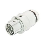 DEVICE CONNECTOR RST20I2SXB13 M00 GL