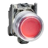 ATEX ILLUMINATED PUSHBUTTON