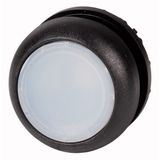 Illuminated pushbutton actuator, RMQ-Titan, Flush, momentary, White, Blank, Bezel: black