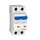 OV-Miniature Circuit Breaker, 32A, 15=800A, 2-pole