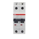 ST202M-K4 Miniature Circuit Breaker - 2P - K - 4 A