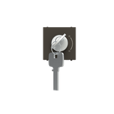 N2253 AN Key switch Anthracite - Zenit