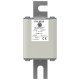 Fuse-link, high speed, 250 A, AC 2000 V, Size 2, 61 x 75 x 202 mm, aR, DIN, IEC, single indicator