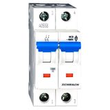 Miniature Circuit Breaker (MCB) B, 40A, 2-pole, 40ø C, 10kA