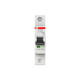 S201-B40 MTB Miniature Circuit Breaker - 1P - B - 40 A