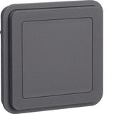 Blind plug insert surface-mtd/flush-mtd, W.1, grey matt