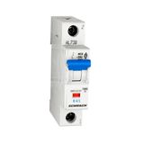 Miniature Circuit Breaker for control cicuits B 4A, 1-pole