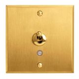 Art d'Arnould universe Two-way memory or illuminated lever switch 10A - brushed gold