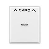 3559E-A00700 01 Card switch cover plate