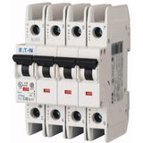 Miniature circuit breaker (MCB), 50 A, 4p, characteristic: B, ring tongue