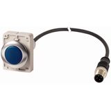 Indicator light, Flat, Cable (black) with M12A plug, 4 pole, 1 m, Lens Blue, LED Blue, 24 V AC/DC