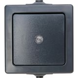 Pushbutton switch, NAUTIC; colour: anthr