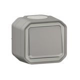 Plexo 10A waterproof switch or two-way indicator supplied complete with indicator light for gray surface mounting