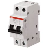 SH202T-B13 Miniature Circuit Breaker - 2P - B - 13 A