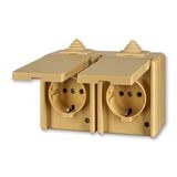 5518-3069 D Double socket outlet with earthing contacts, with hinged lids, for multiple mounting