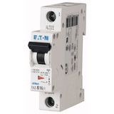 Miniature circuit breaker (MCB), 25 A, 1p, characteristic: K