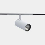 Spotlight Strom 55 LV 24 LED neutral-white 3500K CRI 90 18.8º CASAMBI Textured white 2297lm