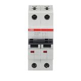 ST202M-K2 Miniature Circuit Breaker - 2P - K - 2 A