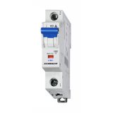 Miniature Circuit Breaker (MCB) C, 50A, 1-pole, 10kA