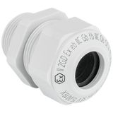 Cable gland Progress synthetic GFK Pg21 grey RAL 7035 Ex e II cable Ø12.5-16.0mm