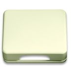 1746-22G-101 CoverPlates (partly incl. Insert) carat® ivory