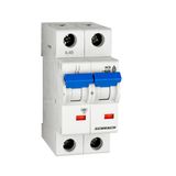 Miniature Circuit Breaker (MCB) C, 4A, 2-pole, 6KA