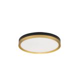 Black & Brass Gold Metal & Acrylic LED 31 Watt 230 Volt 1916Lm 3000K IP20 D: 40 H: 5 cm