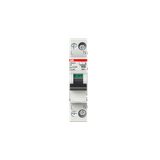 DSN201 AC-C6/0.03 Residual Current Circuit Breaker with Overcurrent Protection