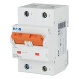 Miniature circuit breaker (MCB), 63A, 2p, D-Char, AC