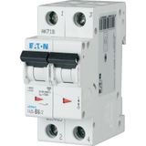 Miniature circuit breaker (MCB), 13 A, 2p, characteristic: C, 6 kA