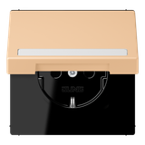 SCHUKO socket, with hinged lid, with ins LC1520BFNAKL237