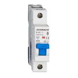 Miniature Circuit Breaker (MCB) AMPARO 6kA, B 40A, 1-pole