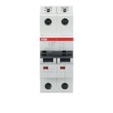 ST202M-D16 Miniature Circuit Breaker - 2P - D - 16 A