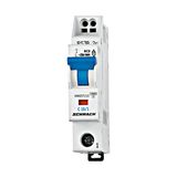 Miniature Curcuit Breaker (MCB) D, 10A, 1-pole, 10kA, cag