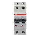 ST202M-K10 Miniature Circuit Breaker - 2P - K - 10 A