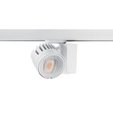 BEACON WW LED O/B DIM 4K L3 WHT