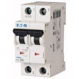 Miniature circuit breaker (MCB), 5 A, 2p, characteristic: B