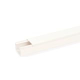 LE 4060 cws  Channel LE, for cable storage, 2000x60x40, cream white Polyvinyl chloride