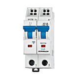 Miniature Curcuit Breaker (MCB) C, 2A, 2-pole, 10kA, cag