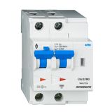 AFDD, series Lisa, C 13 A, 2-pole, 30 mA, A/delayed, 10 kA