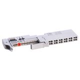 Terminal Base, Screw Clamp, 1 Piece, 12 Terminal, 300V, DIN Rail