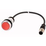 Pushbutton, Flat, momentary, 1 NC, Cable (black) with M12A plug, 4 pole, 0.5 m, red, Blank, Bezel: titanium