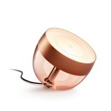 Hue Iris gen4 EU/UK SE copper (new)